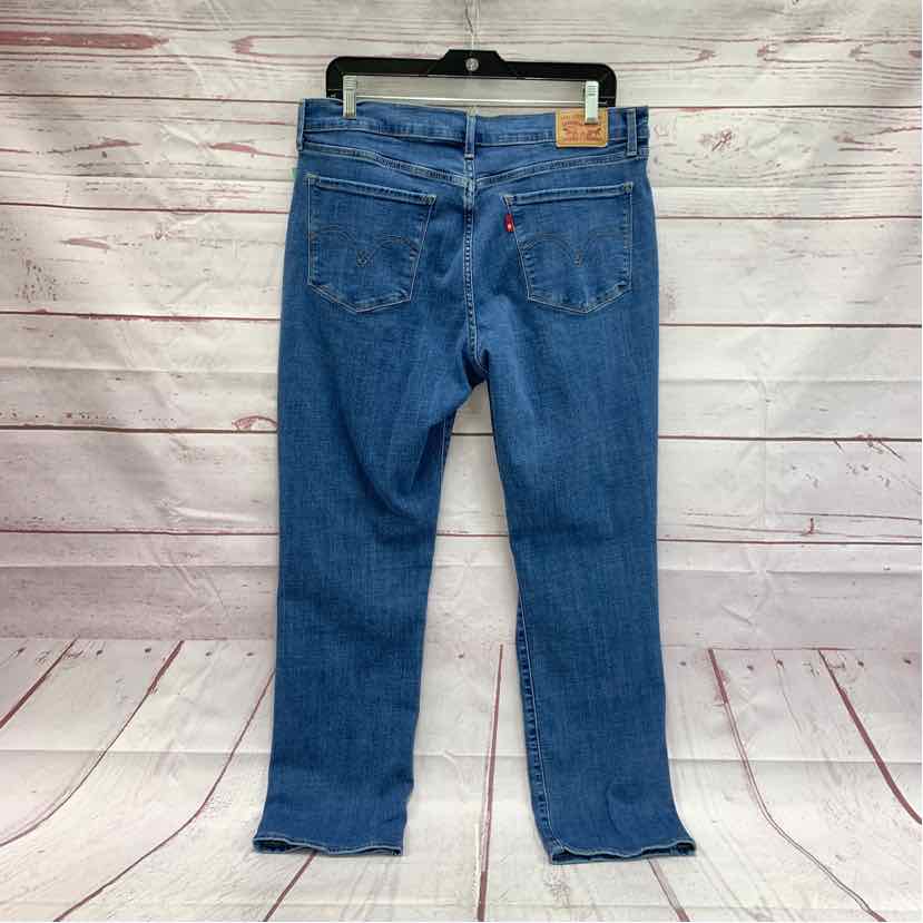 Levis and Co. Size 12/14 Jeans